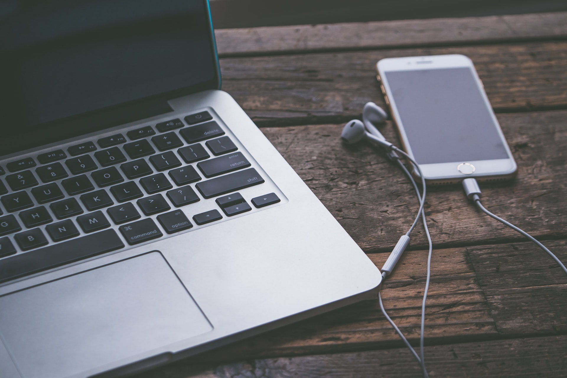 src/main/webapp/templets/1/default/images/pexels-photo-583845.jpeg